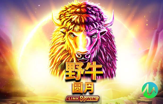 宾果彩票平台登陆首页